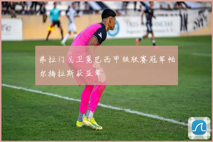 弗拉门戈卫冕巴西甲级联赛冠军帕尔梅拉斯获亚军