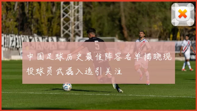 中国足球历史最佳阵容名单揭晓现役球员武磊入选引关注