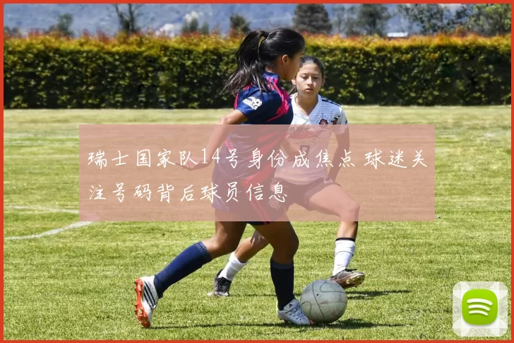 瑞士国家队14号身份成焦点 球迷关注号码背后球员信息