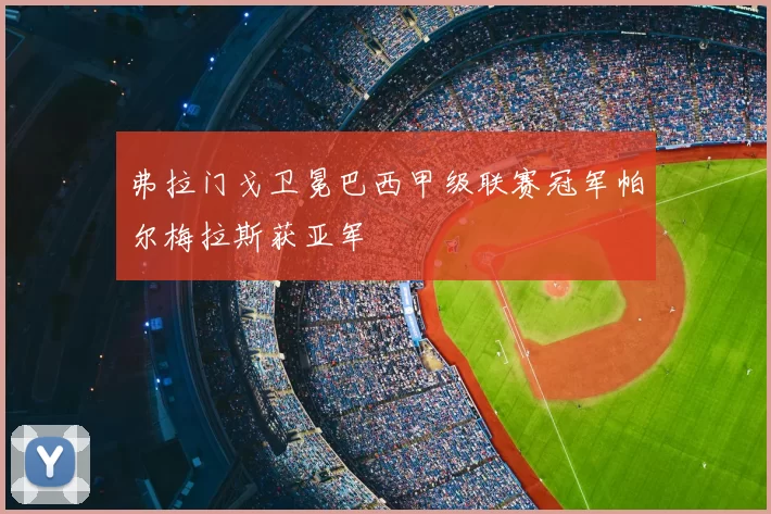 弗拉门戈卫冕巴西甲级联赛冠军帕尔梅拉斯获亚军