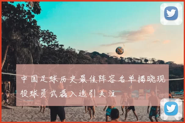 中国足球历史最佳阵容名单揭晓现役球员武磊入选引关注